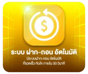 113-ปุ่มฝากถอน